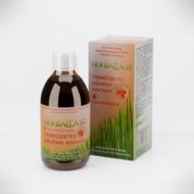 HerbaClass Természetes Növényi Kivonat – Homoktövismag + Homoktövismagolaj, 300 ml
